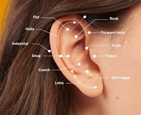 piercing ears video|ear piercing with needle video.